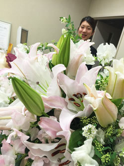 お花？の紹介♪