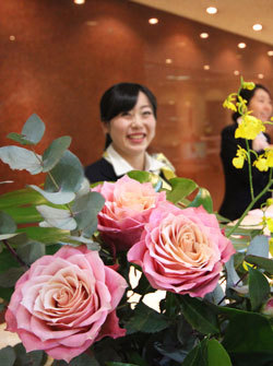 お花？の紹介♪