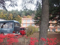 斐太高校も紅葉してます