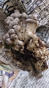 パーティ準備、着々♪