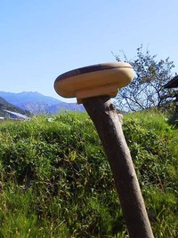 乗鞍と紅葉、そして作品鑑賞