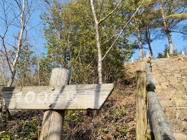 山寺で修行⁉️千段登る