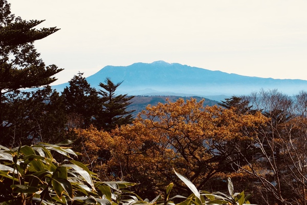 飛騨の森フェスin位山