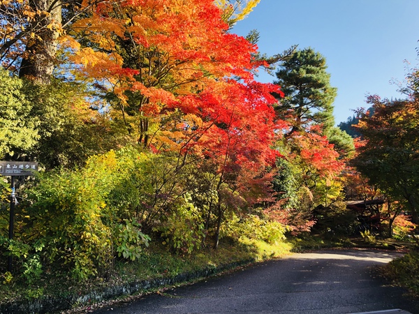 紅葉最高