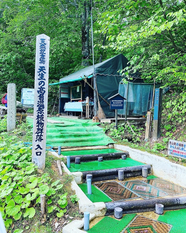 天生の森シーズンスタート❣️