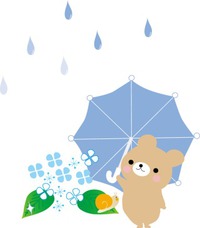 恵の雨ですね☂️ 2017/06/21 15:01:56