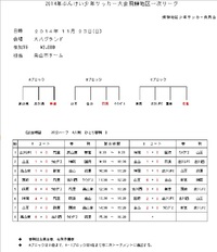 ぶんけい２０１４１次リーグ結果