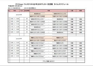 FC Dream フェスタ 2016少年少女サッカー大会③