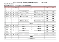フェスタ 2016少年少女サッカー大２_2