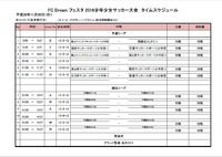 フェスタ 2016少年少女サッカー大２_3