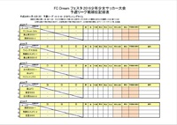フェスタ 2016少年少女サッカー大２_5