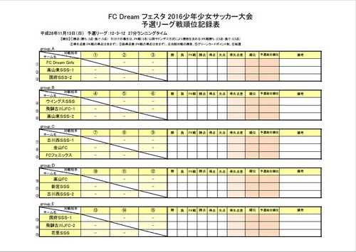 フェスタ 2016少年少女サッカー大２_5