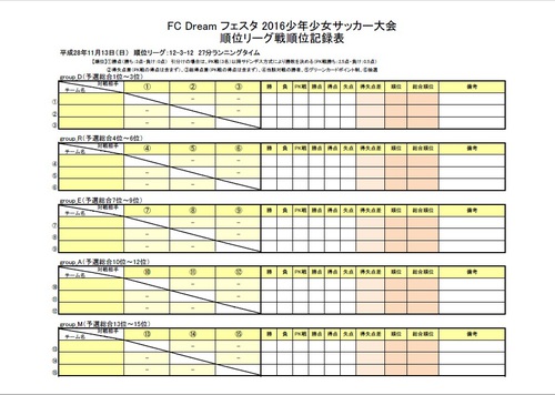フェスタ 2016少年少女サッカー大２_6