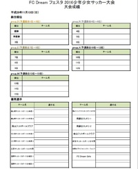 フェスタ 2016少年少女サッカー大２_7