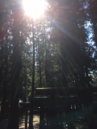 気多若宮神社へ♬ 2019/09/25 16:47:54