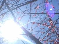 明日からカウンセリング体験キャンペーンスタートです♬(^^) 2019/04/16 21:13:53