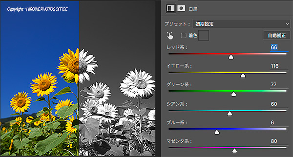 Photoshop 白黒 を使ったカラー画像のモノクロ変換 色系ごとにグレーの明るさ調整 比呂池写真事務所