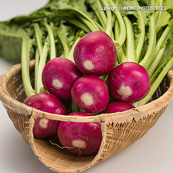 飛騨の伝統野菜 赤カブ 出回り始めるといよいよ師走モード突入 比呂池写真事務所