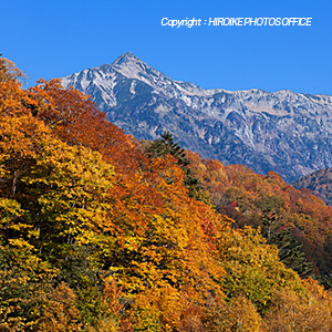 飛騨の名峰 笠ヶ岳