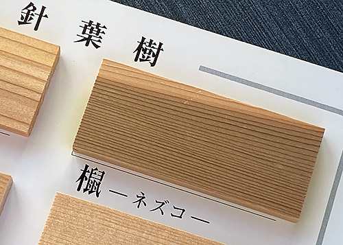 標本