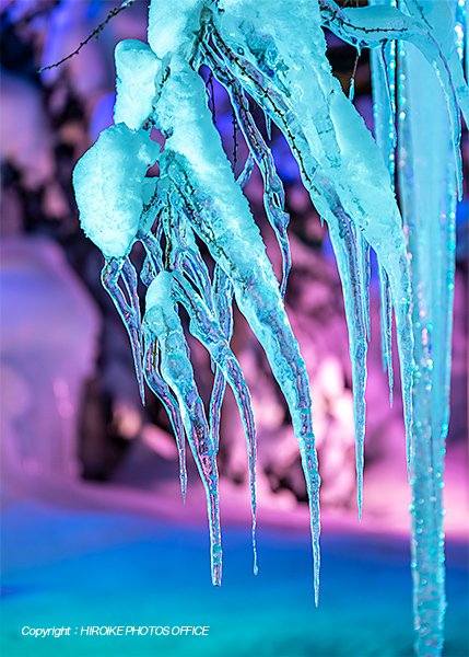 氷点下の森