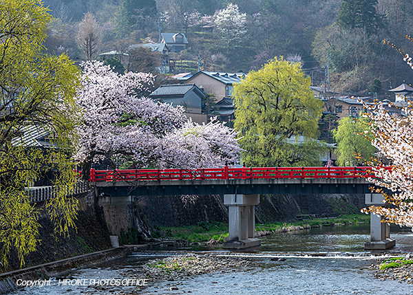 桜　飛騨高山