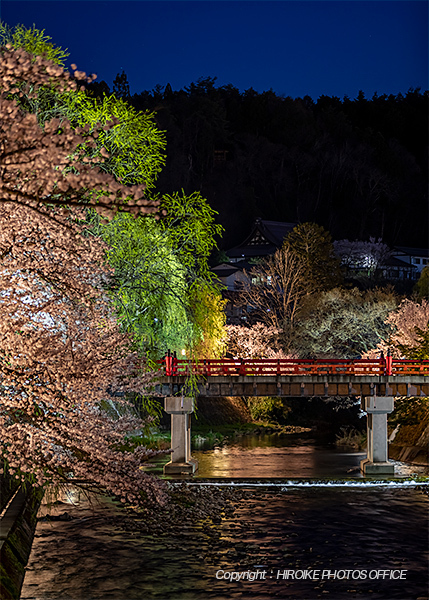 桜　飛騨高山