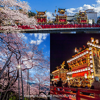 「春の高山祭屋台 ＆ 臥龍桜」画像を「ひだホテルプラザWeb」に採用いただきました。