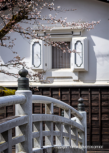 桜　飛騨高山