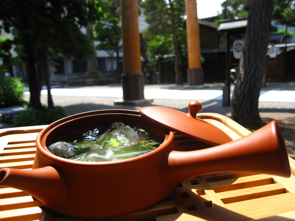 まさに「magic of Japanese Tea」なのです。