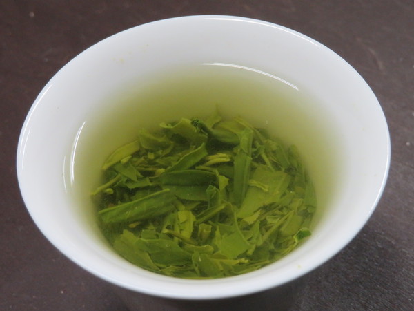 楽しみ方いろいろ。日本茶の広くて深～い世界。