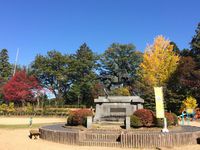紅葉情報＝奥飛騨編＝★