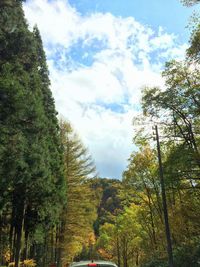 紅葉情報＝せせらぎ街道編＝