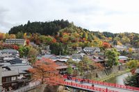 紅葉情報＝平野屋周辺編＝