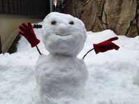 雪だるまフォトコン2014 in 本陣平野屋 vol.6