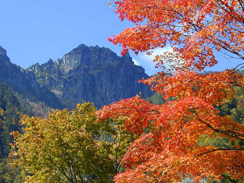 錫杖岳と紅葉
