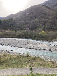 今日の川