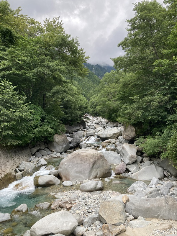 今日の川