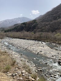 今日の川