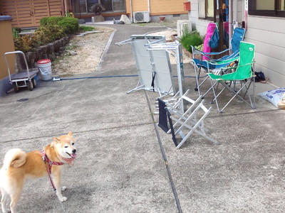 海旅行の片づけ♪