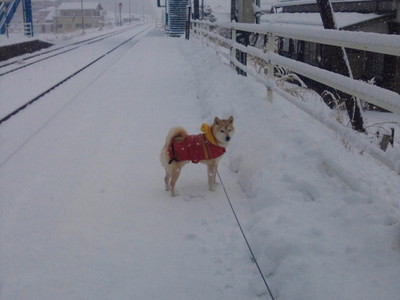 今朝の上呂駅♪