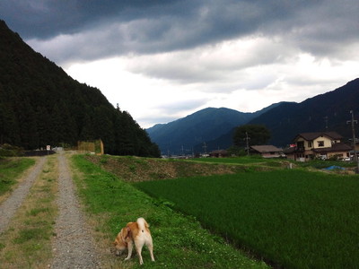 梅雨空！