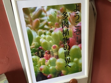 タニクｅｎに行ってきた