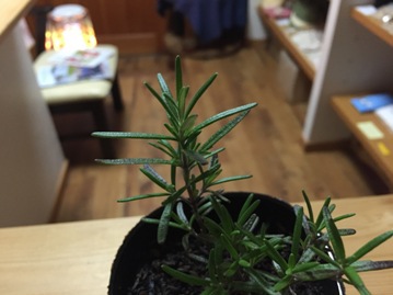 冬と春