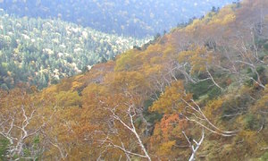 十石山の紅葉！！