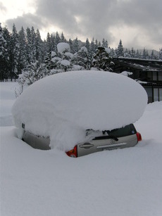 また大雪でしたぁ