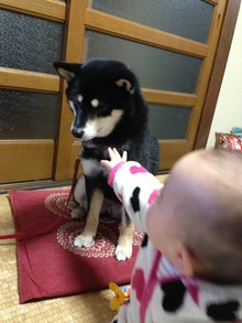 ももと、赤ちゃん