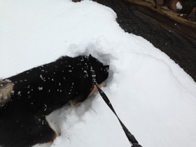 何か見つけた?!