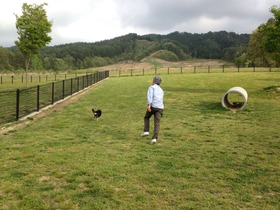 ドッグラン