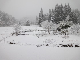 ビックリ　大雪です！！
